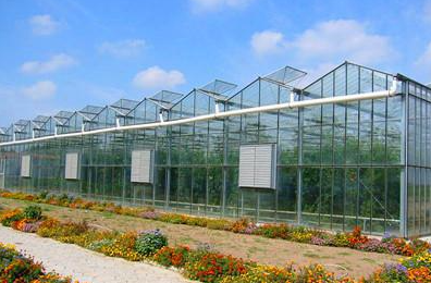 文洛型venlo温室简介